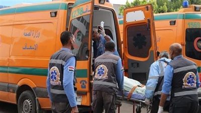 مصرع 3 شباب في حادث تصادم سيارتين نقل بالصالحية الجديدة بالشرقية 