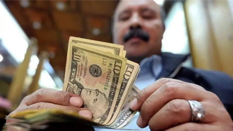 تحويلات المصريين