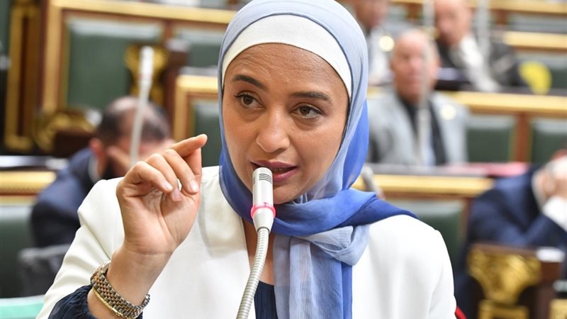 النائبة أميرة أبوشقة