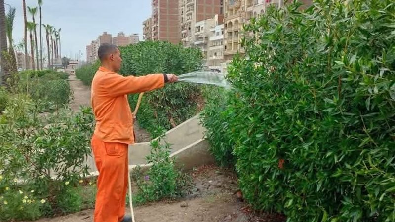 صورة من الحملة