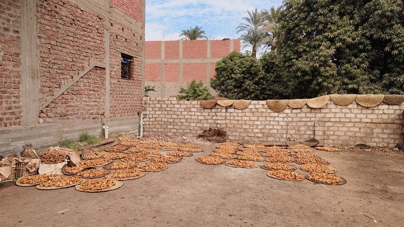 صناعة الجلاب بقنا