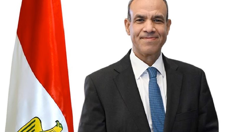 وزيرا خارجية مصر