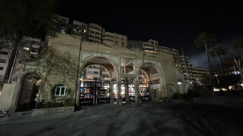 جامعة المنصورة تشارك
