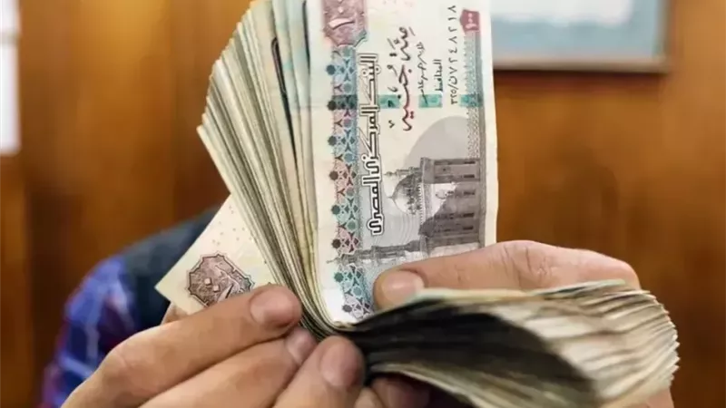 مرتبات