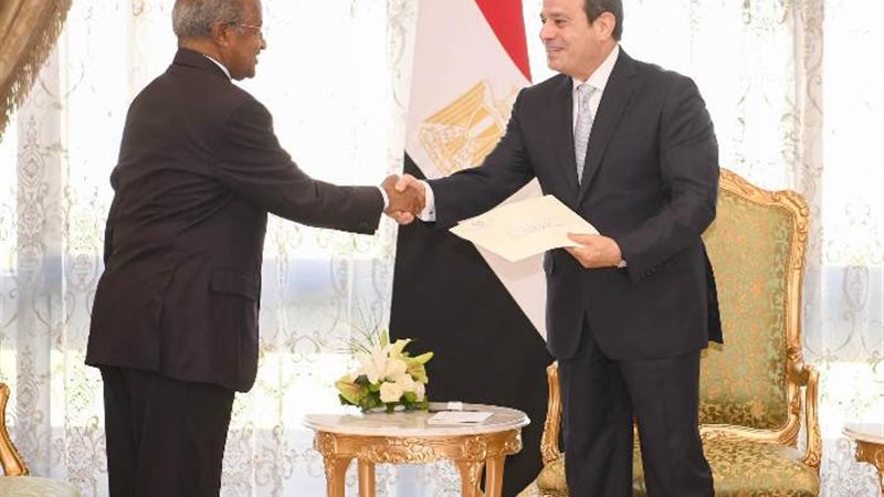 الرئيس السيسي ووزير