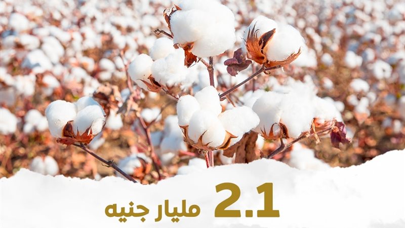 إتاحة 2.1 مليار