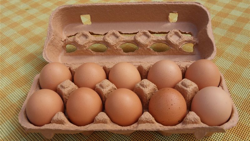 ارتفاع سعر البيض