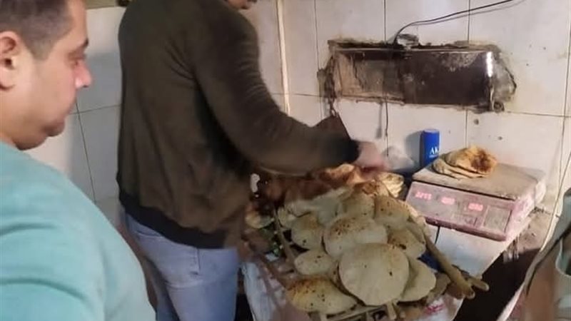 صورة من الحملة