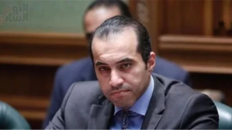 المستشار محمود فوزى