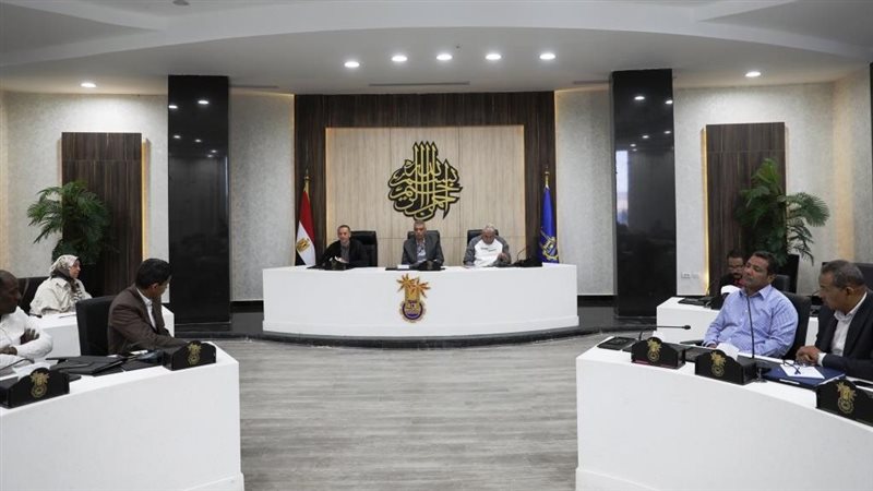 محافظ أسوان