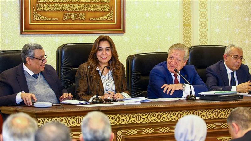 وزيرة التنمية المحلية