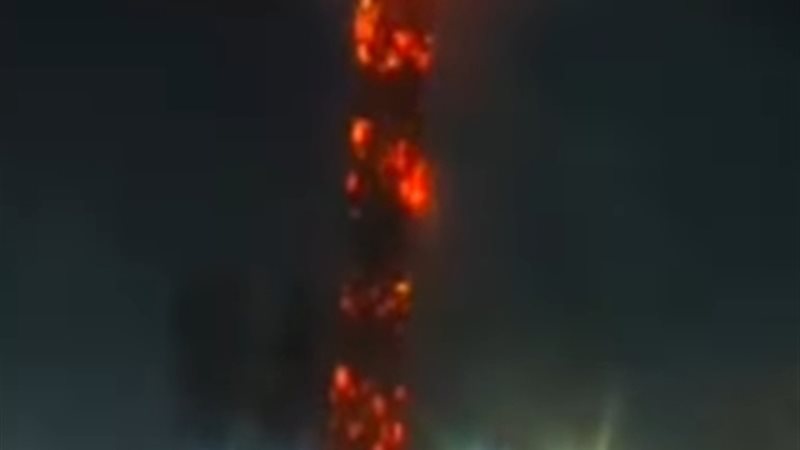 صورة النخلة المحترقة