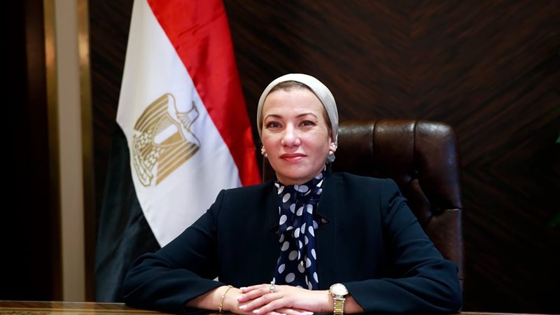 الدكتورة ياسمين