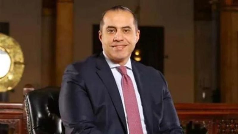 المستشار محمود فوزى
