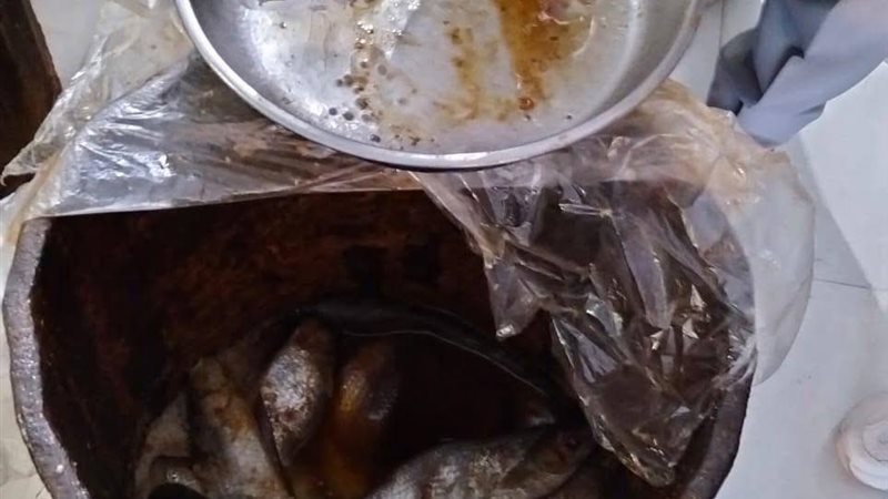 صور من المضبوطات