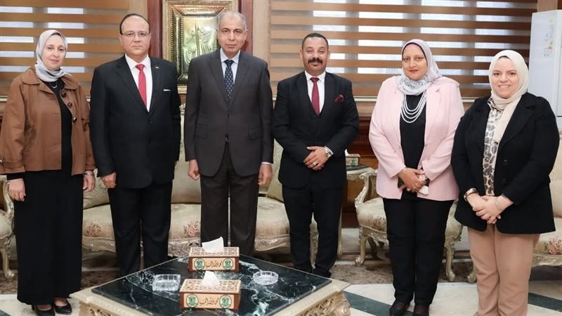 محافظ المنيا