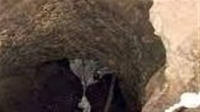 صورة ارشيفية