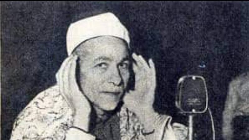 الشيخ منصور الدمنهوري