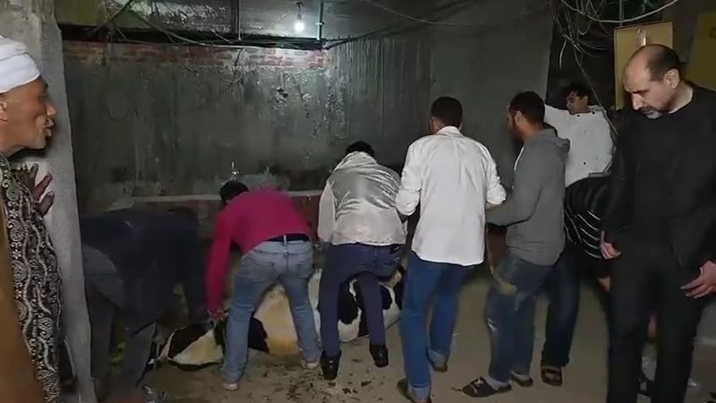 صلح أسرة المتهمين