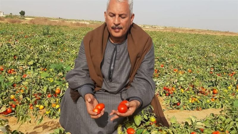 حسين أبو صدام
