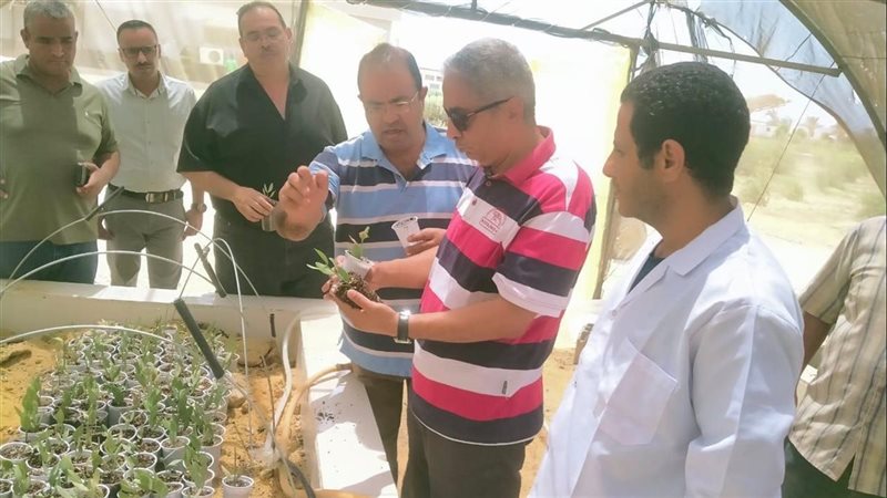بحوث الصحراء