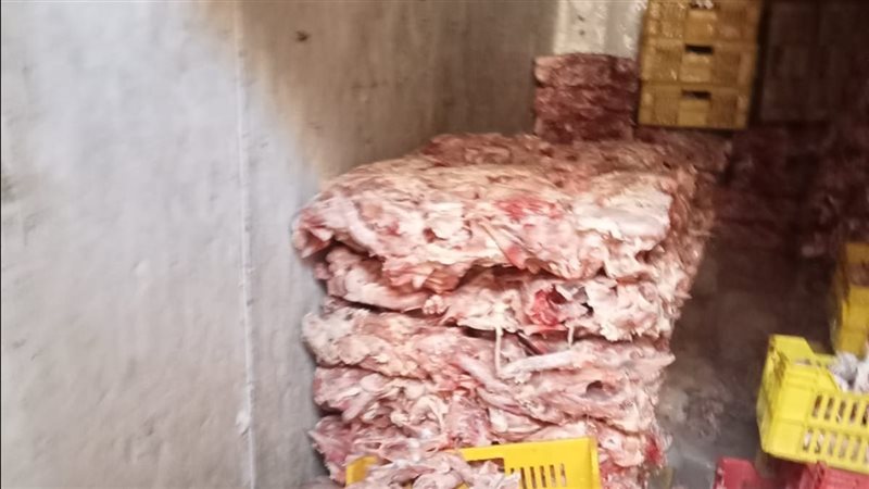 هياكل دواجن فاسدة