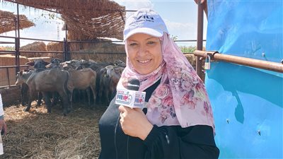 حملة طارئة للتحصين ضد عترة جديدة من الحمى القلاعية بدمياط