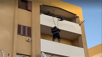 لفتة إنسانية.. أمن السويس ينقذ قطة محجوزة في بلكونة  
