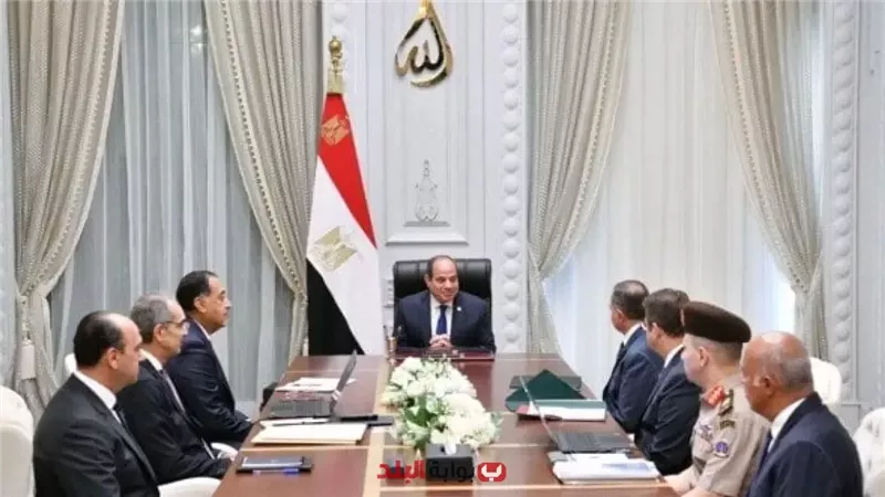 اجتماع الرئيس السيسي