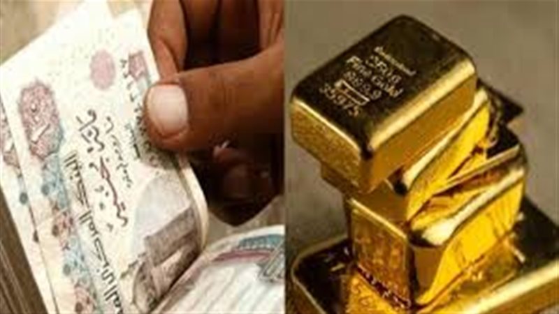 مدخرات المصريين 