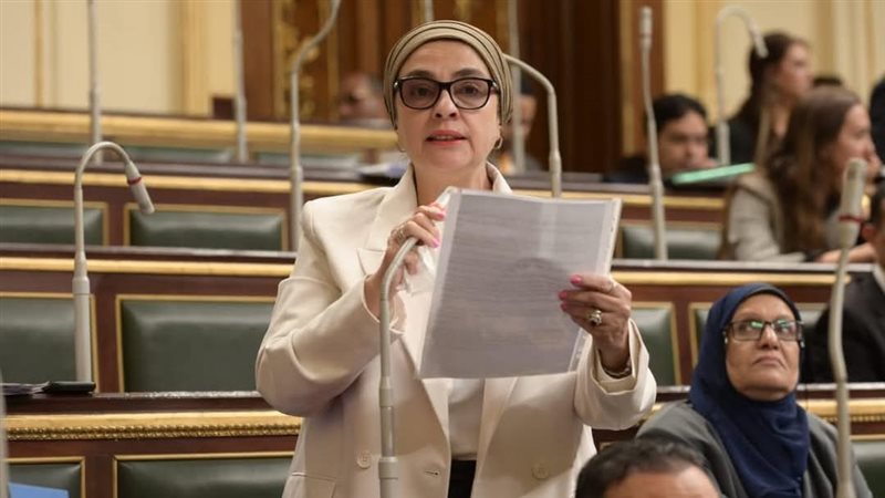 النائبة سميرة الجزار