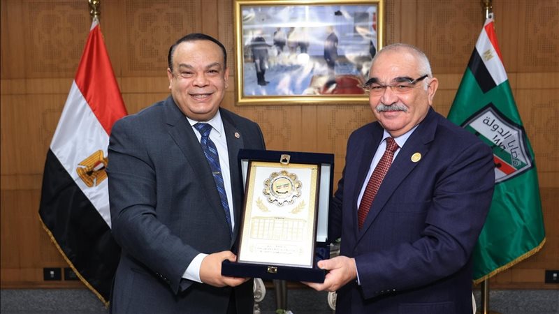 المستشار حازم بدوي
