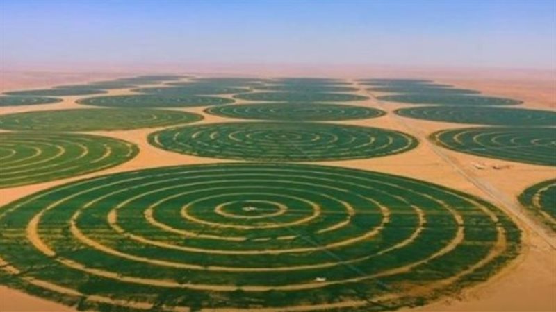 الدلتا الجديدة