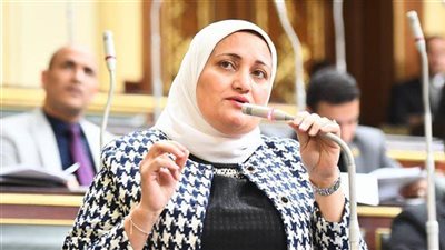 سناء السعيد: قانون الأسرة ضرورة عاجلة بعد تصاعد الأزمات المجتمعية|خاص
