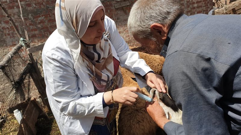 رعاية صحية وورش للأطفال