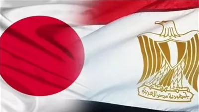 أيمن غنيم: العلاقات المصرية اليابانية ترتقي إلى شراكة استراتيجية منذ أبريل 202