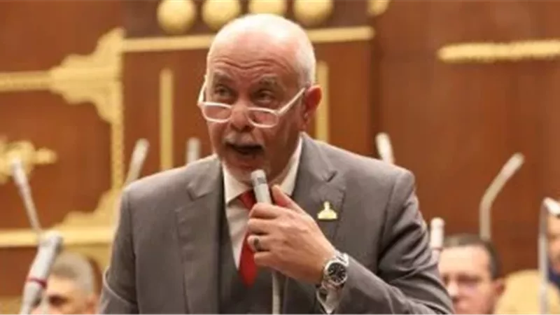 النائب المهندس حازم