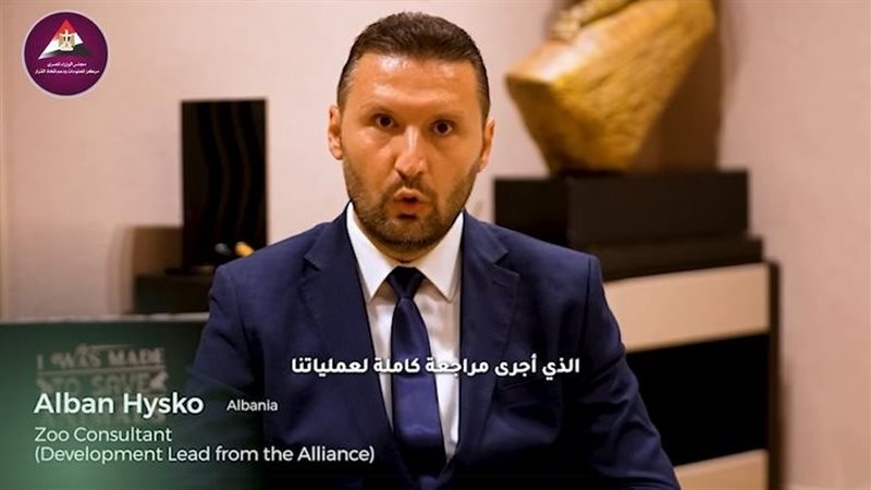 الخبير الاستشاري