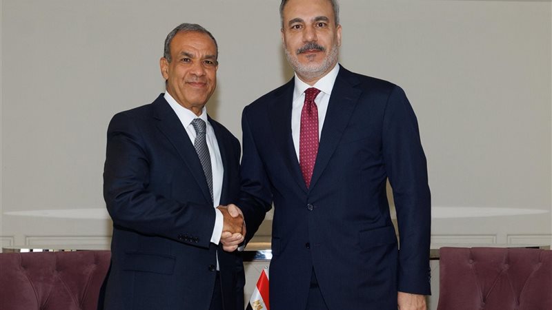وزير الخارجية المصري