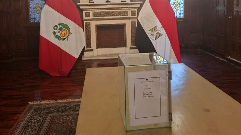 الانتخابات
