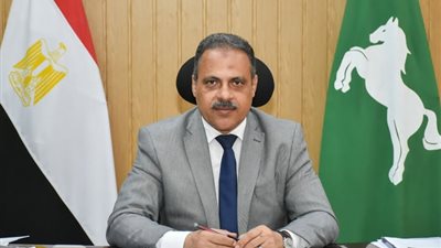 من قلب الشرقية.. مهرجان الخيول العربية يعيد للأصالة مجدها |فيديو 