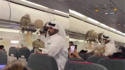 مواطن خليجي يصطحب صقورًا على متن طائرة ويثير الجدل على مواقع التواصل