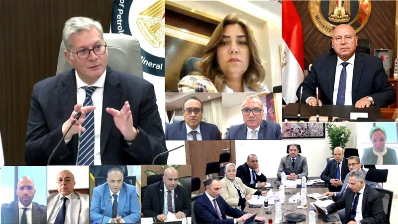 الجمعية العامة لمصر