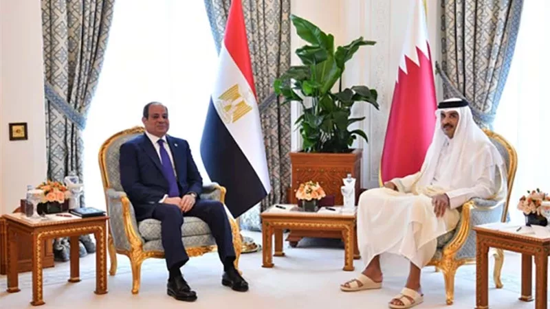لقاء الرئيس السيسي
