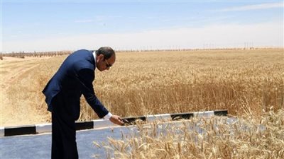 أحمد موسى: الرئيس السيسي حمى مصر من مخاطر انعدام الأمن الغذائي |فيديو