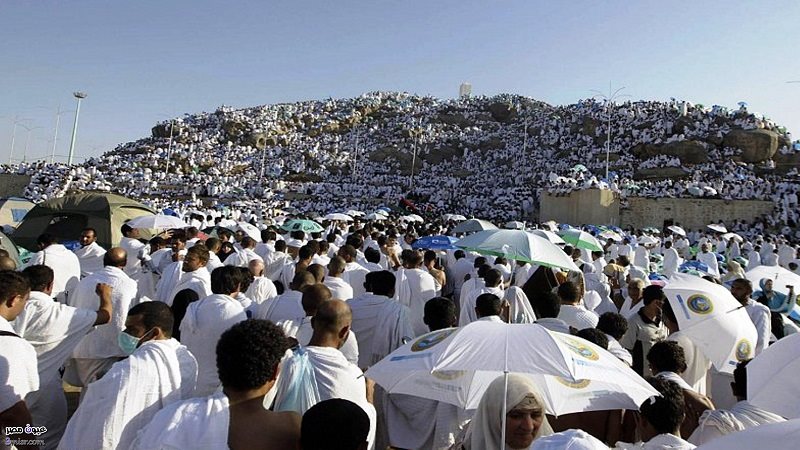 ارشيفية