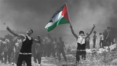 ماجد عبد الفتاح: الاعتراف الدولي بفلسطين خطوة في طريق التسوية وحل الدولتين