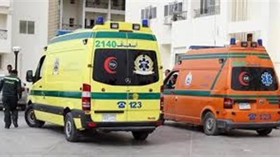 إصابة رئيس محكمة مطوبس وزوجته ونجله إثر انقلاب سيارتيهما بالطريق الساحلي الدول