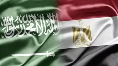 محلل سياسي: التعاون المصري السعودي ركيزة أساسية لمواجهة التحديات الإقليمية