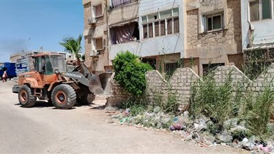 رفع 13 قرار إزالة بمساحة 1270 متر في حملة بحي فيصل بالسويس
